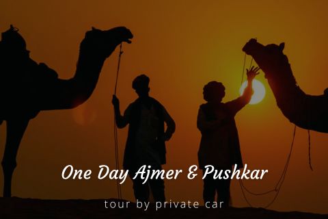 One Day Ajmer and Pushkar Sightseeing Tour Package by Cab