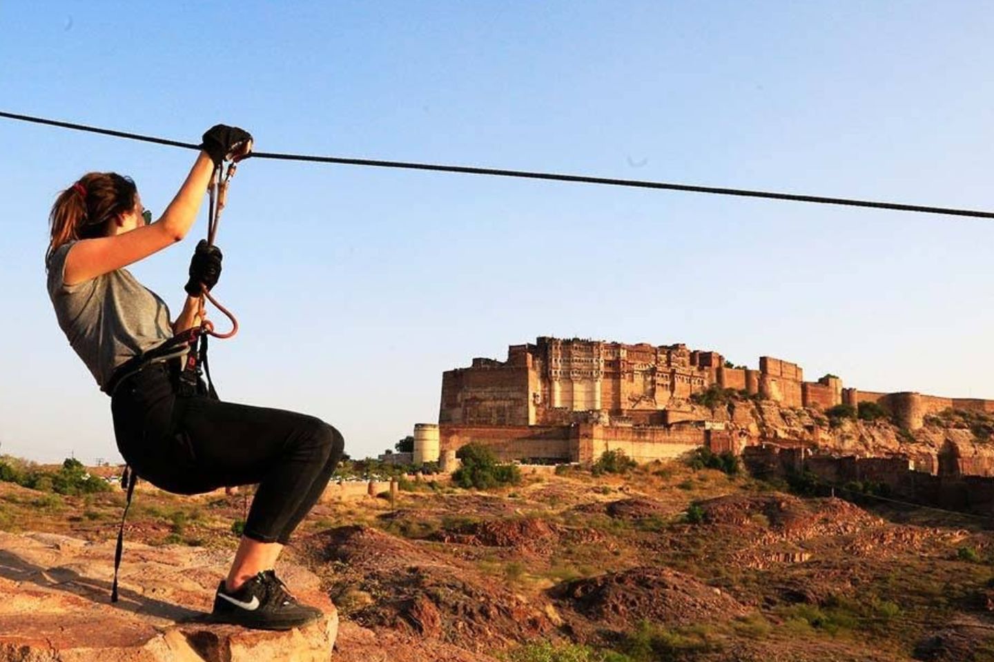 Flying Fox, Jodhpur
