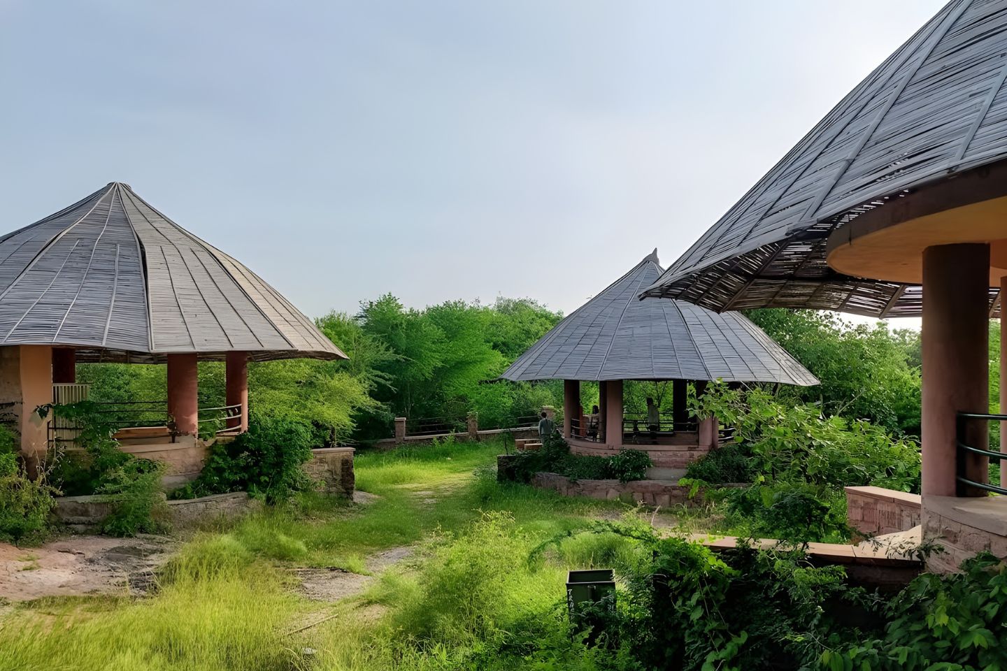 Machiya Safari Park Jodhpur